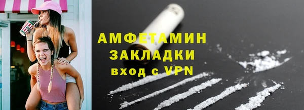 индика Бородино