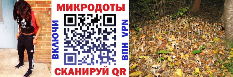 Псилоцибиновые грибы GOLDEN TEACHER  omg онион  даркнет телеграм  Новоржев 